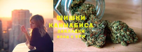 прущие грибы Киреевск