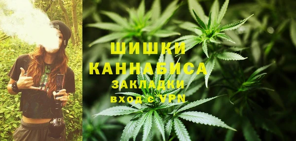 ALPHA PVP Кинешма
