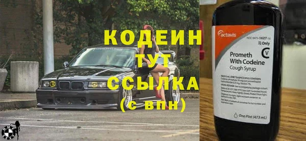 мяу мяу мука Кодинск