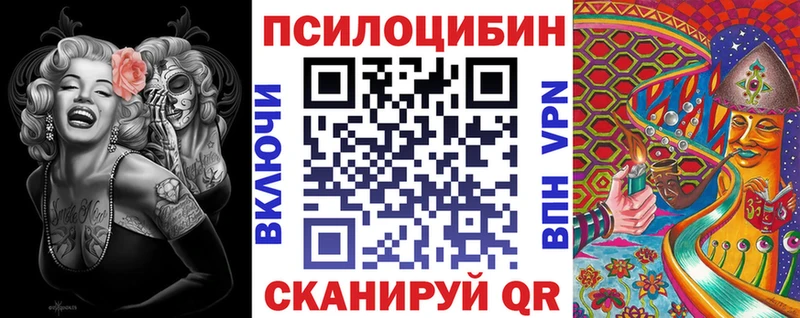 Галлюциногенные грибы Psilocybine cubensis  Купить закладки  Бакал 